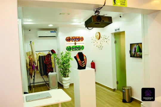 Art Gallery in Lagos - Magnolia Gallery Hub