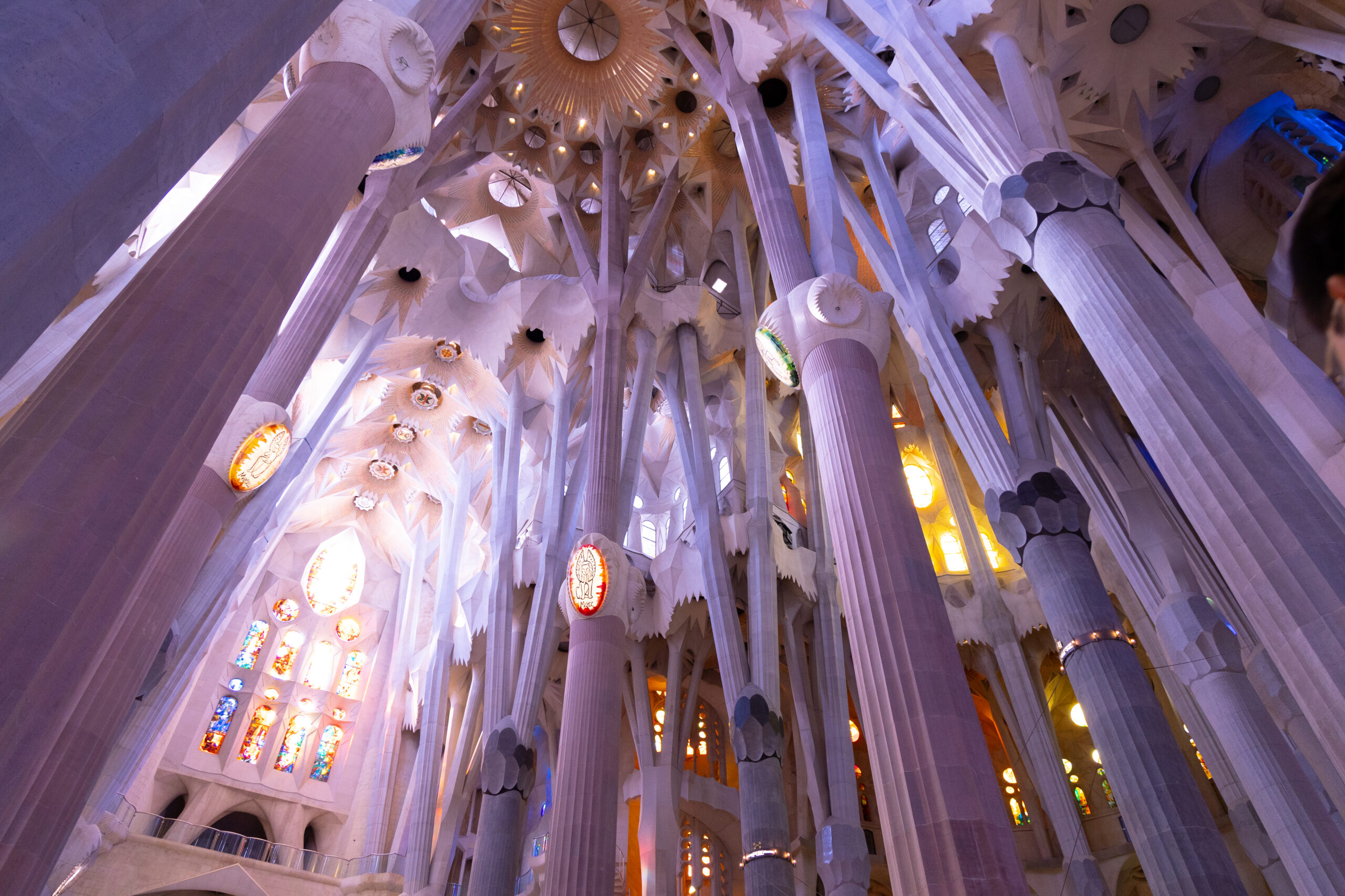 Magnolia Gallery Hub paintings